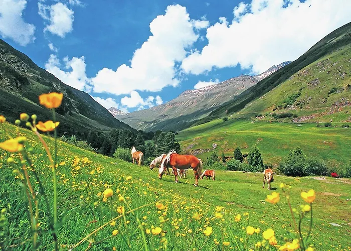 In Paradise Near Trails *