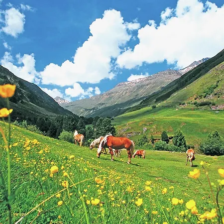 In Paradise Near Trails *